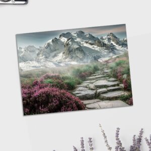 imprimir fotografias 20x25