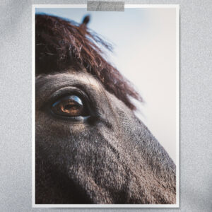 Revelado fotografías 20x30