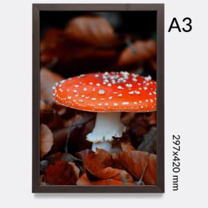 Imprimir fotografía A3