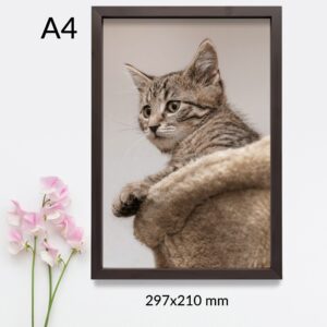 imprimir fotografía a4